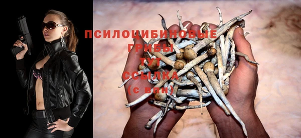 не бодяженный Аркадак